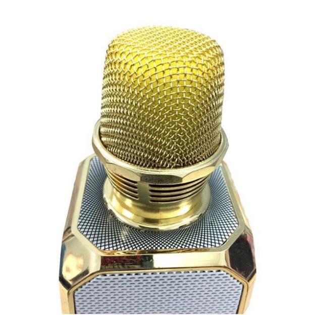 Mic Bluetooth Karaoke SD10 Kiêm Loa Trợ Giảng Nhỏ Gọn Tích Hợp Pin Có Thể Sạc Hàng Chuẩn