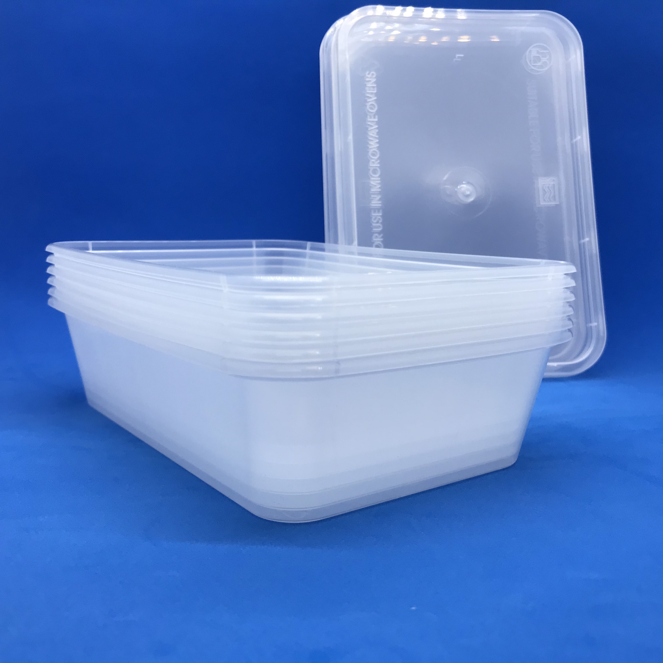 Set 10 hộp nhựa chữ nhật mỏng đựng thực phẩm Đại Đồng Tiến 100% nhựa PP an toàn cho sức khỏe dùng được cho lò vi sóng