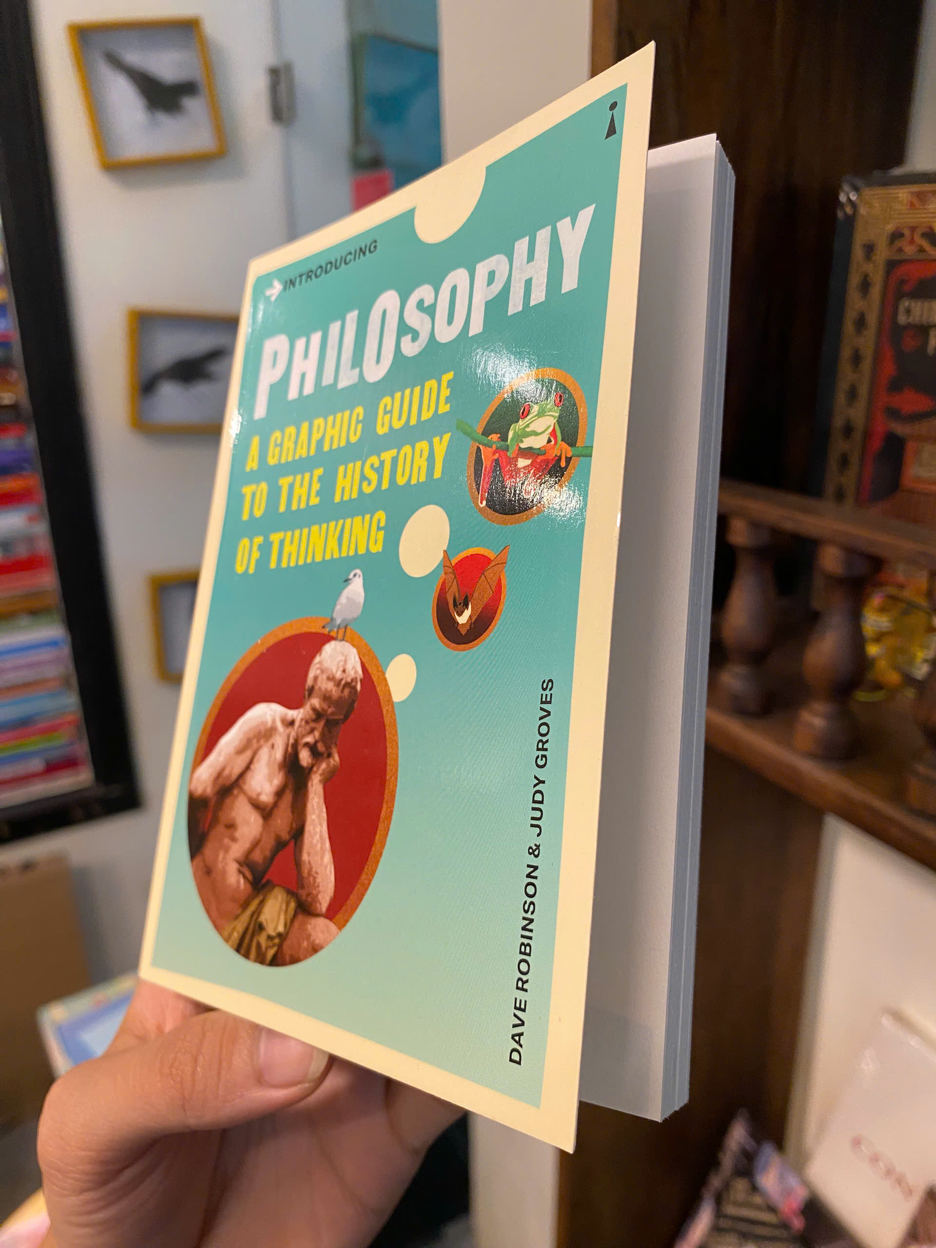 Sách - Introducing Philosophy: A Graphic Guide to the History of Thinking by Dave Robinson