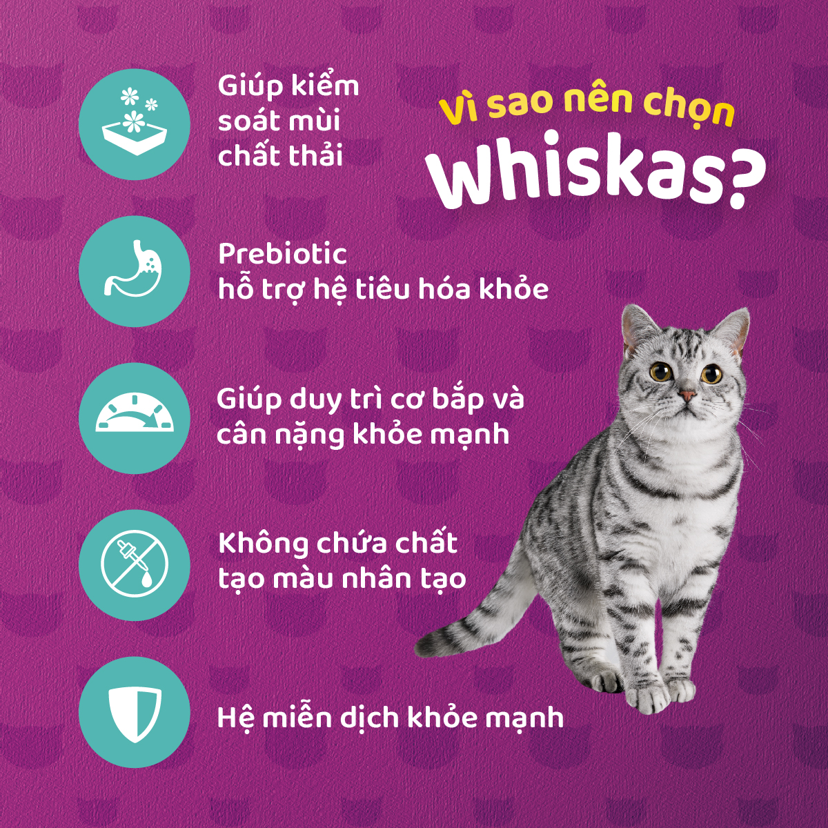WHISKAS Indoor Formula Dry Cat Food for Adult Cats, 1.1 kg