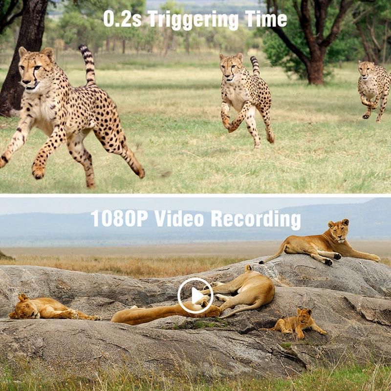 Camera săn bắn mini 1080p camera đường mòn hoang dã tầm nhìn ban đêm