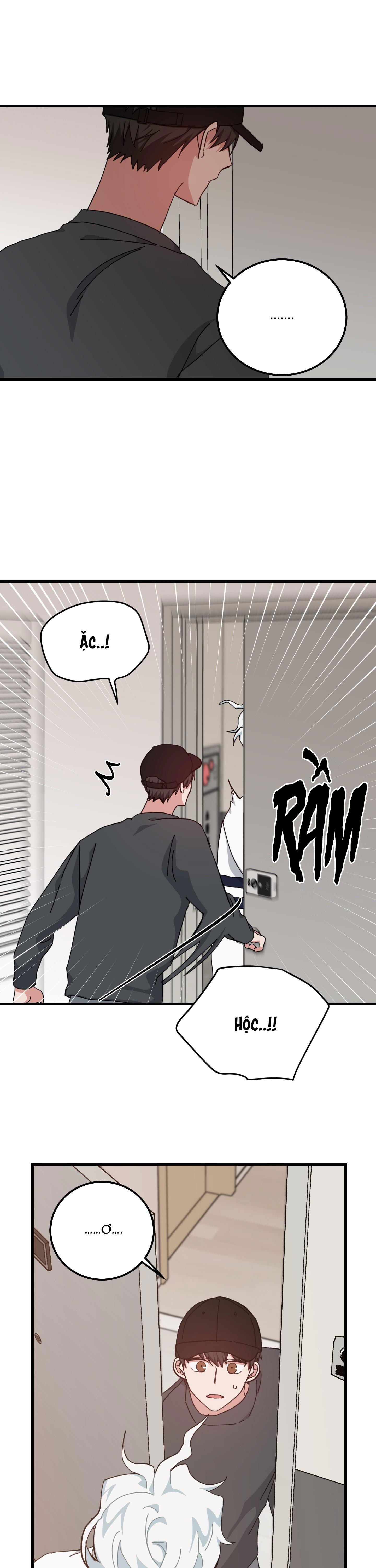 yêu tôi đi, thần hộ mệnh chapter 40 4