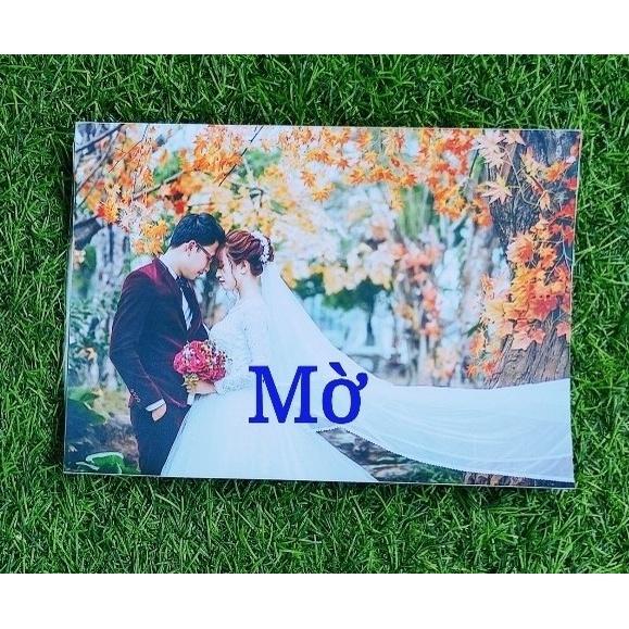 Combo bộ 6 chiếc khung ép gỗ kích thước 15x21cm và 20x30cm siêu đẹp.,