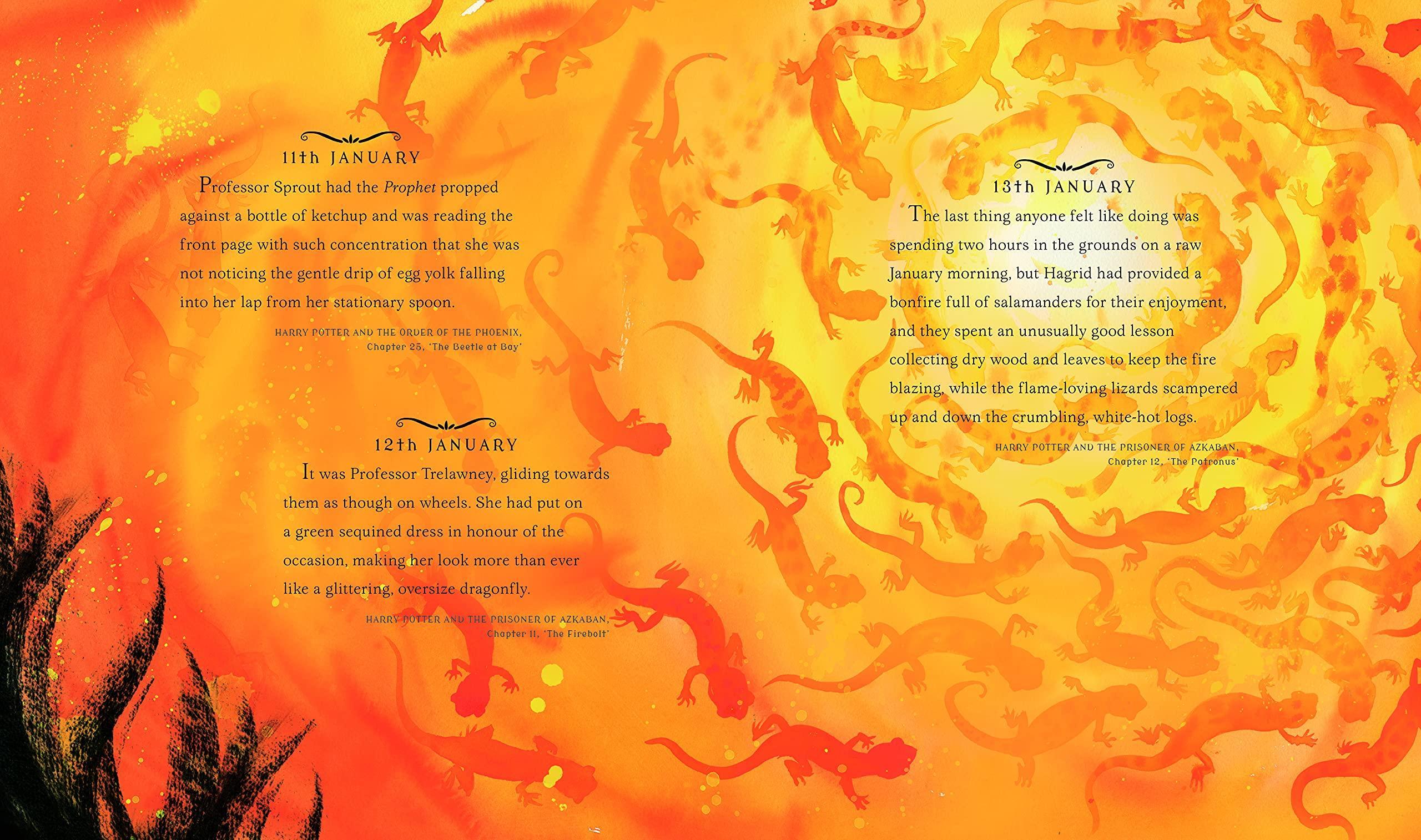 Sách ngoại văn: Harry Potter - A Magical Year: The Illustrations Of Jim Kay