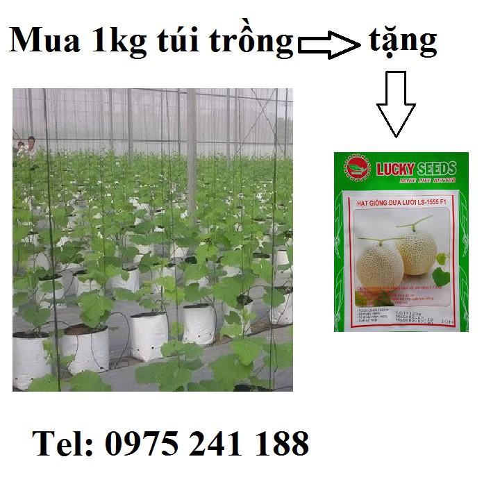 1kg túi PE trắng đen 2 lớp trồng dưa lưới R20 x C40 + tặng 1 gói hạt giống dưa lưới