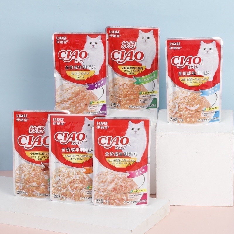 PATE CIAO DÀNH CHO MÈO TÚI 60G