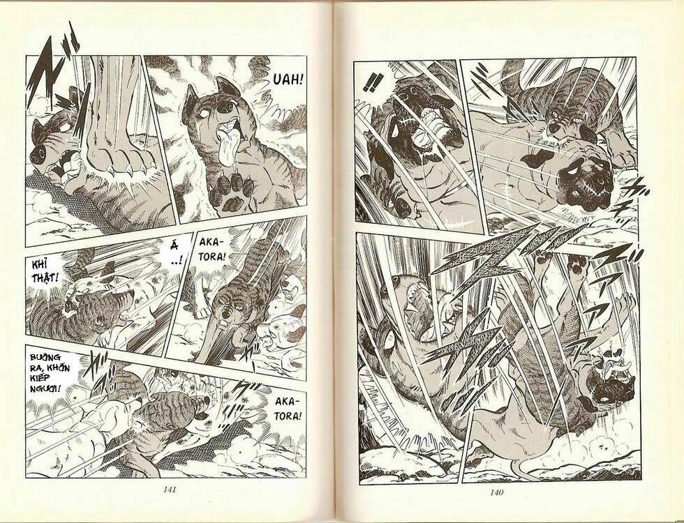 chú chó có nghĩa - ginga nagareboshi gin chapter 16 18