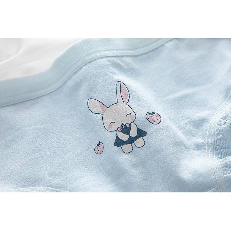 Set 5 Quần Lót Nữ Cotton Thỏ Xanh Thương Kháng Khuẩn Min_ Set 5 Quần Lót Cotton Họa tiết cute