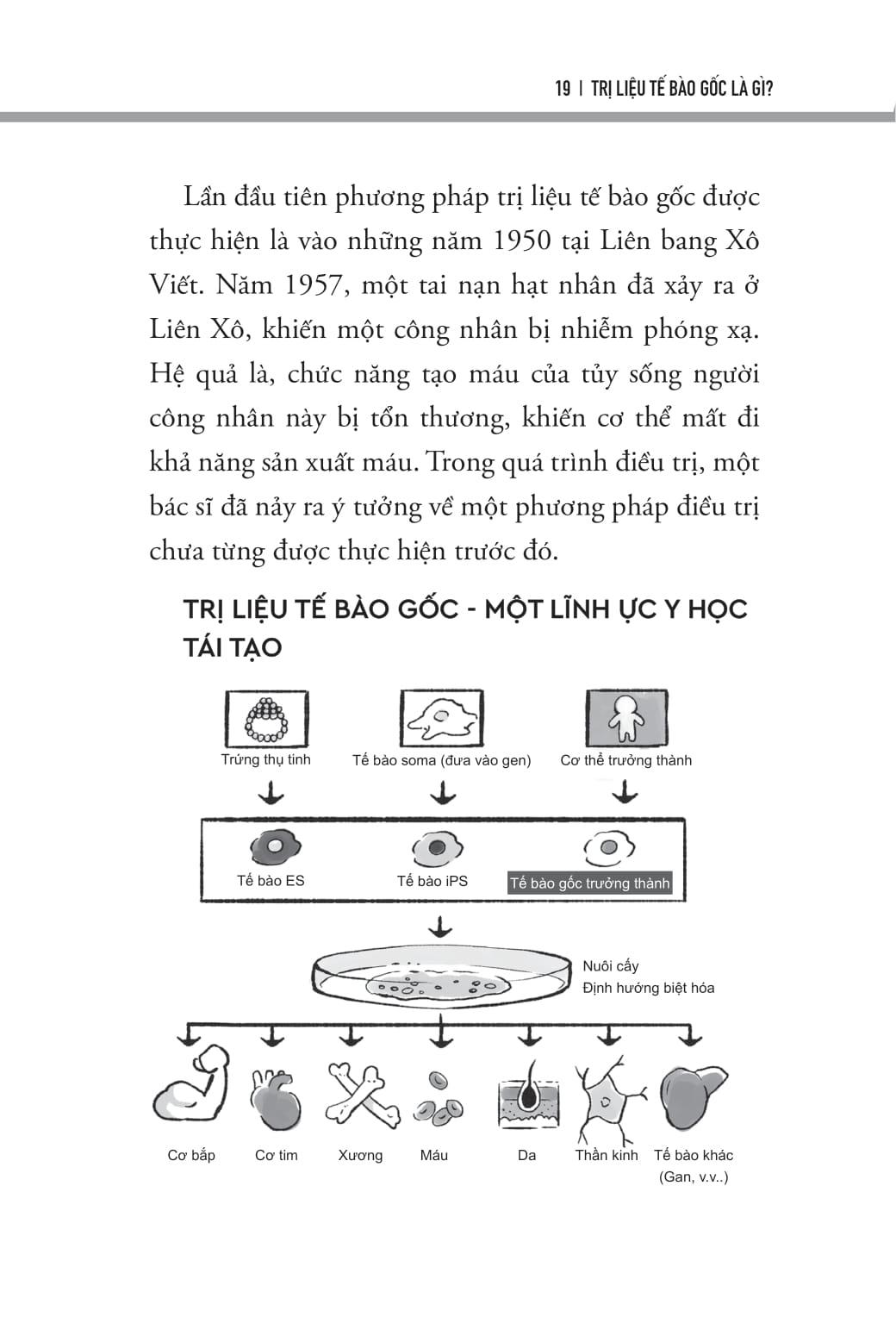 Sách - Trị Liệu Tế Bào Gốc - Cải Thiện Tự Kỷ Và Rối Loạn Phát Triển