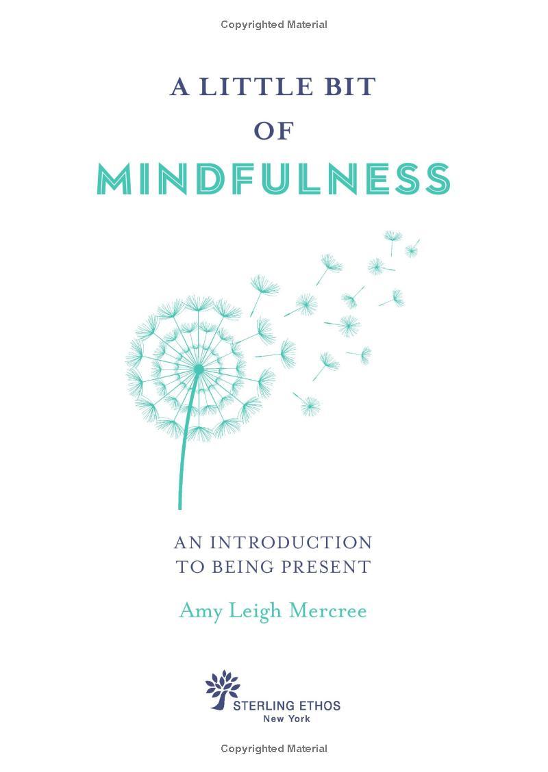 A Little Bit Of Mindfulness: An Introduction To Being Present