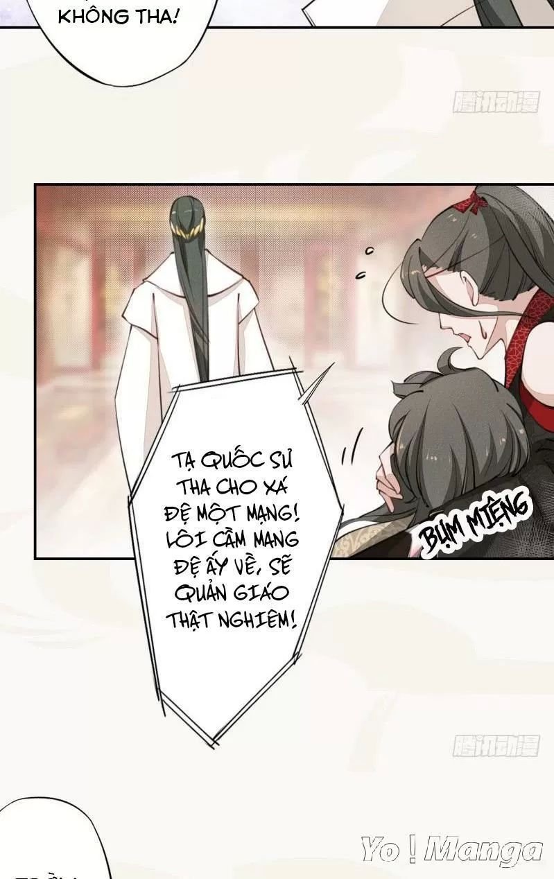 tuyệt thế luyện đan sư chapter 40 17