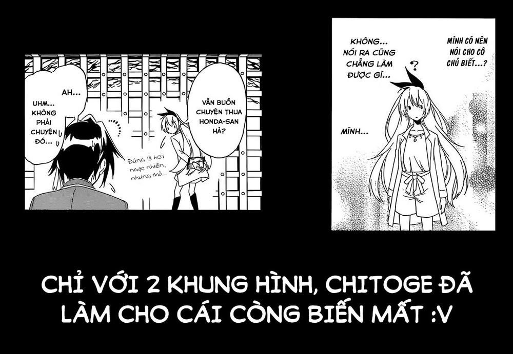 nisekoi - tình yêu giả tạo chapter 187 22