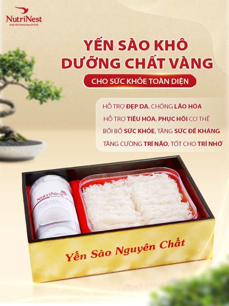 Tổ Yến Sào Rút Lông Sợi NutriNest Tiện Dụng Chưng Nhanh 50g - Kèm Đường Phèn - Hộp Sơn Mài Vàng