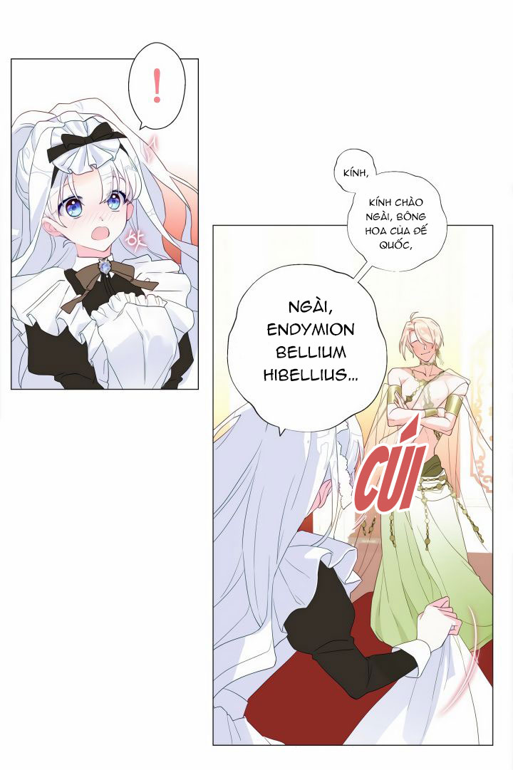 kế hoạch chọn papa của công chúa ._. chapter 4 30