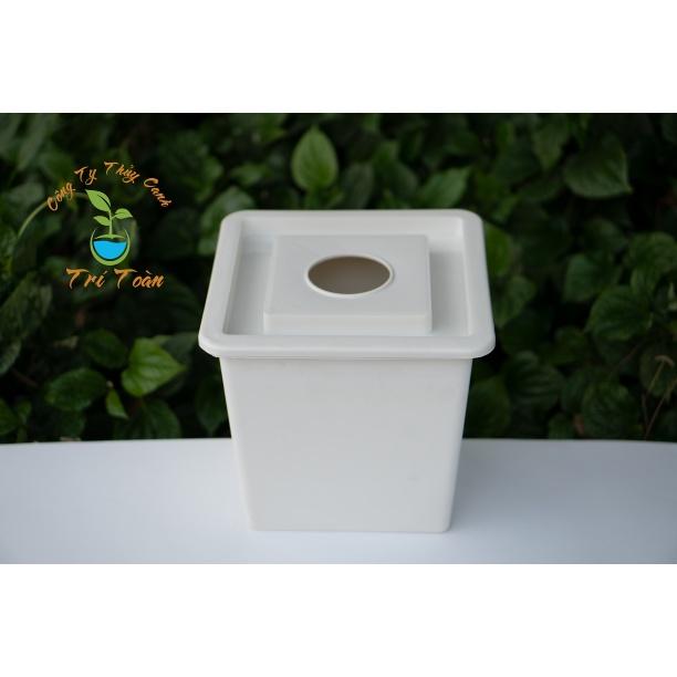 Thùng nhựa, chậu nhựa trồng thủy canh tĩnh cây ăn trái