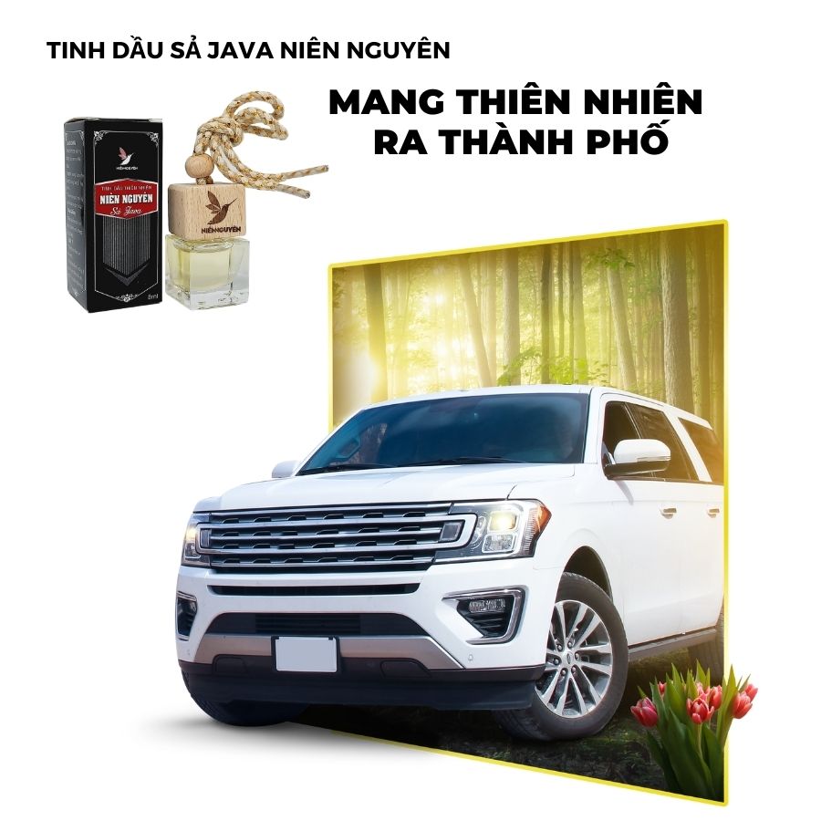 Tinh Dầu Sả Java Nguyên Chất - Chai Treo Khử Mùi (8ml): Khử mùi xe, mùi ẩm mốc, đuổi muỗi, thư giãn...