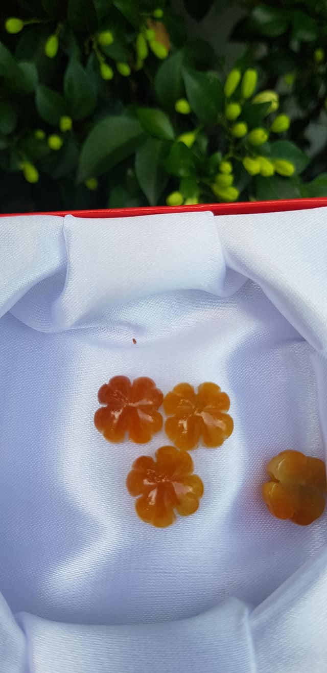 Mặt Bông Hoa cỏ 4 lá màu vàng cam nữ phối vòng tay,làm mặt nhẫn Chất liệu đá cẩm thạch size hạt 14mm x dầy 6mm Nữ về phối với vòng tay của mình đeo hay làm mặt nhẫn mặt dây chuyền đeo xinh ạ