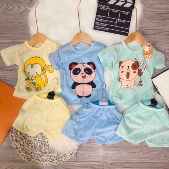 Bộ cotton giấy hình cho bé