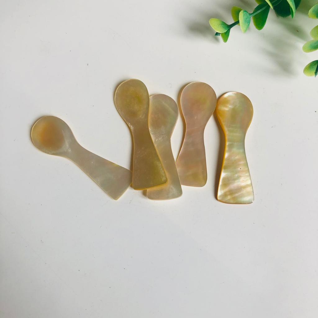 Thìa/Muỗng Trai Mini Size Nhỏ Xinh, Thìa Xúc Trứng Cá Hồi, Thìa Gia Vị, Nêm, Chụp Ảnh Decor Sang Trọng