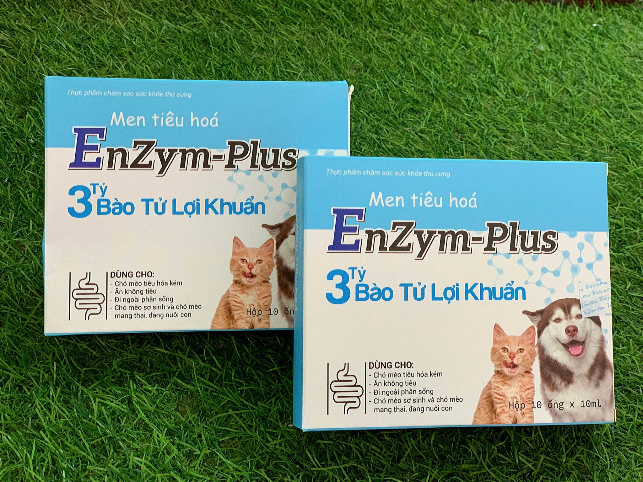 Men t.iêu hoá cho chó mèo
