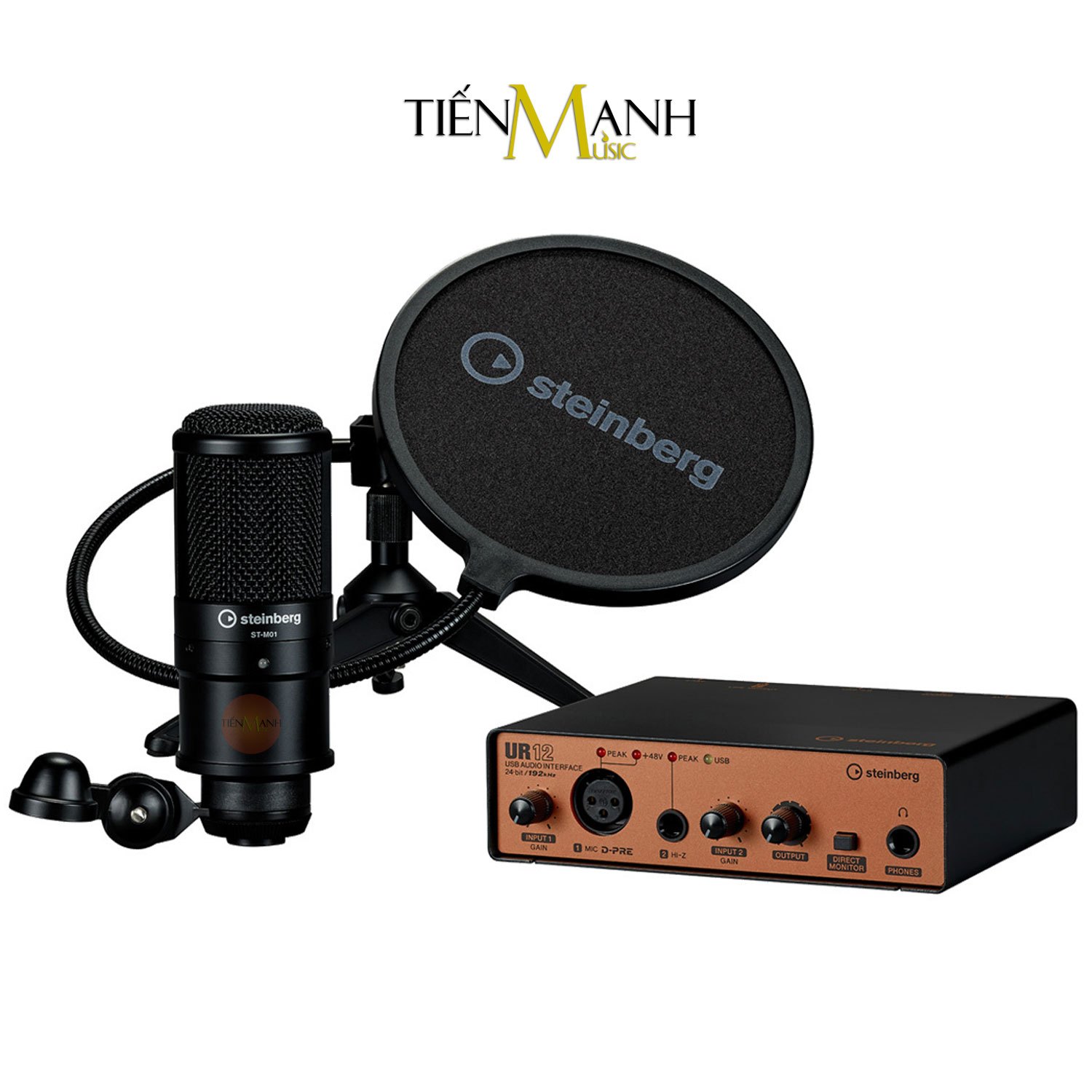 Combo Soundcard Steinberg UR12 Podcast Starter Pack - Sound Card Bộ Thu Âm Thanh Và Livestream Audio Interface UR12B Hàng Chính Hãng - Kèm Móng Gẩy DreamMaker