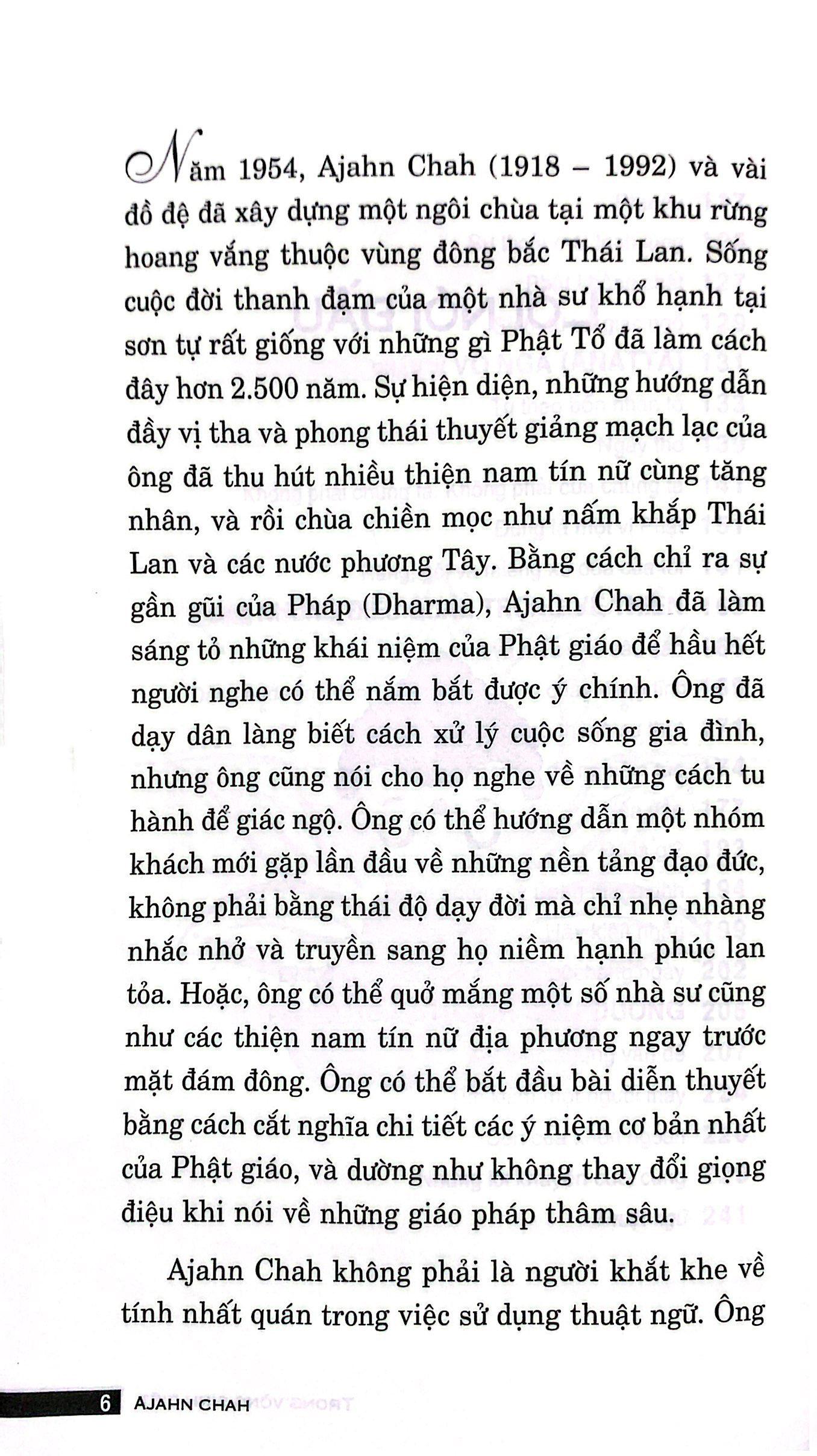 Trong Vòng Sinh Diệt (Tái Bản 2023)