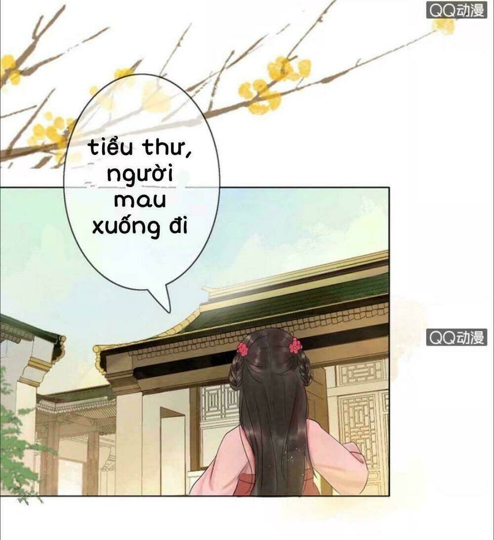 sủng phi của vương chapter 3 6