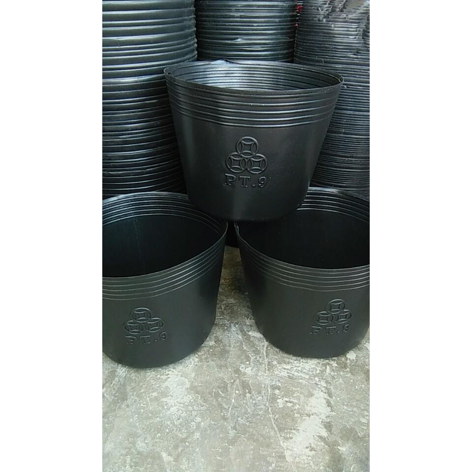 50 Chậu ươm cây, trồng cây C9