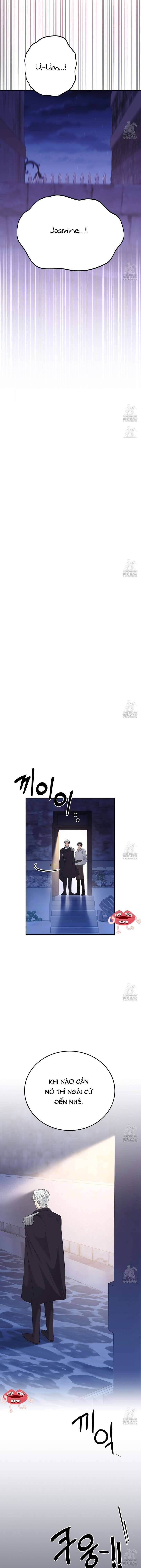 [18+] xin hãy để ý tới jasmine chapter 43 17