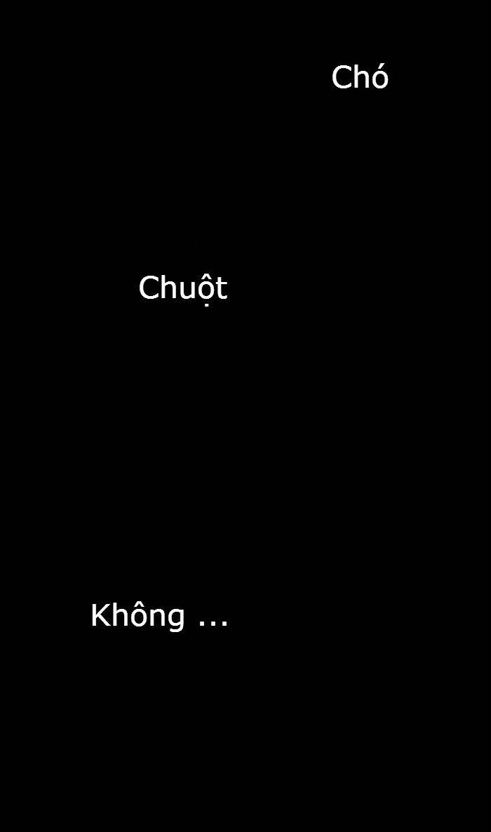 đôi mắt từ trái tim chapter 17 51