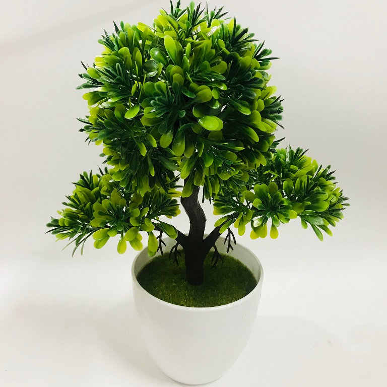 Chậu Bonsai nhựa 3 nhánh dáng đứng các màu