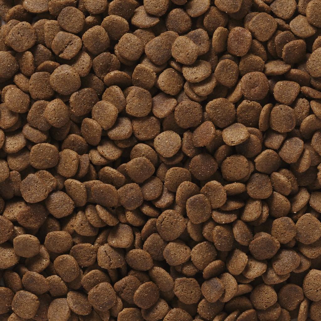 Thức Ăn Chó Con Và Mẹ Giống Lớn Propac Large Breed Puppy Chicken & Brown Rice Formula - Chính Hãng - Nhập Khẩu Mỹ