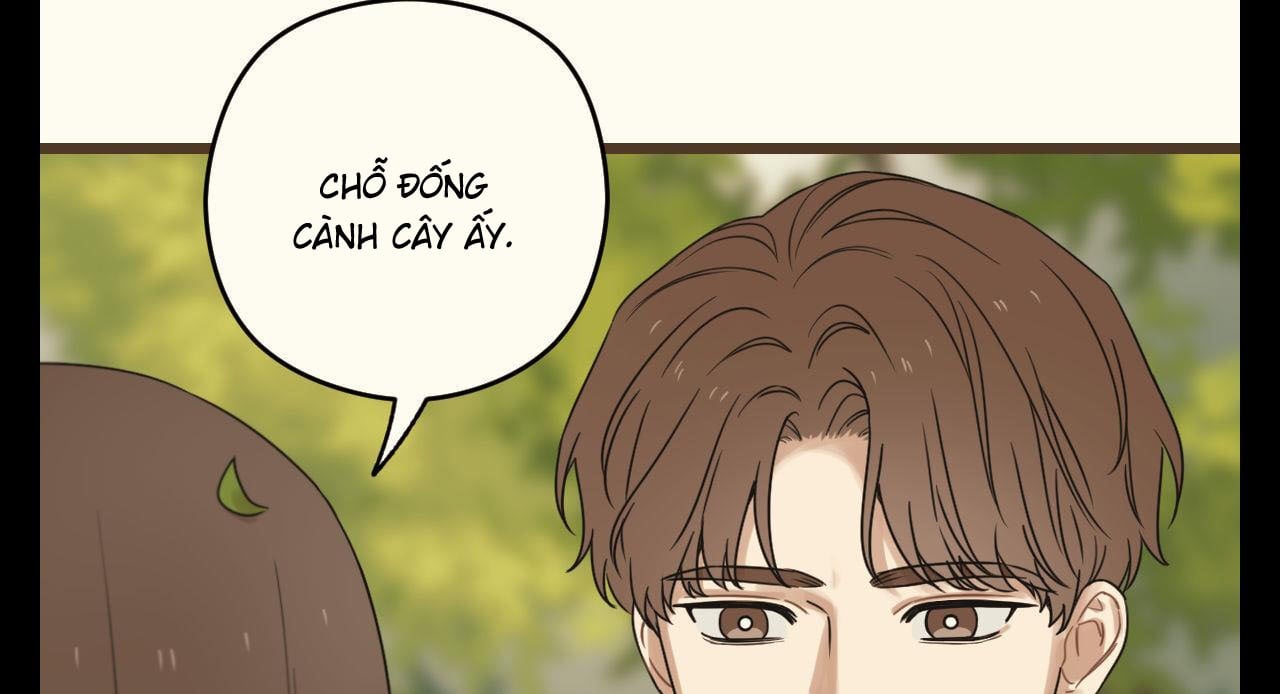 tương phùng chapter 37 249