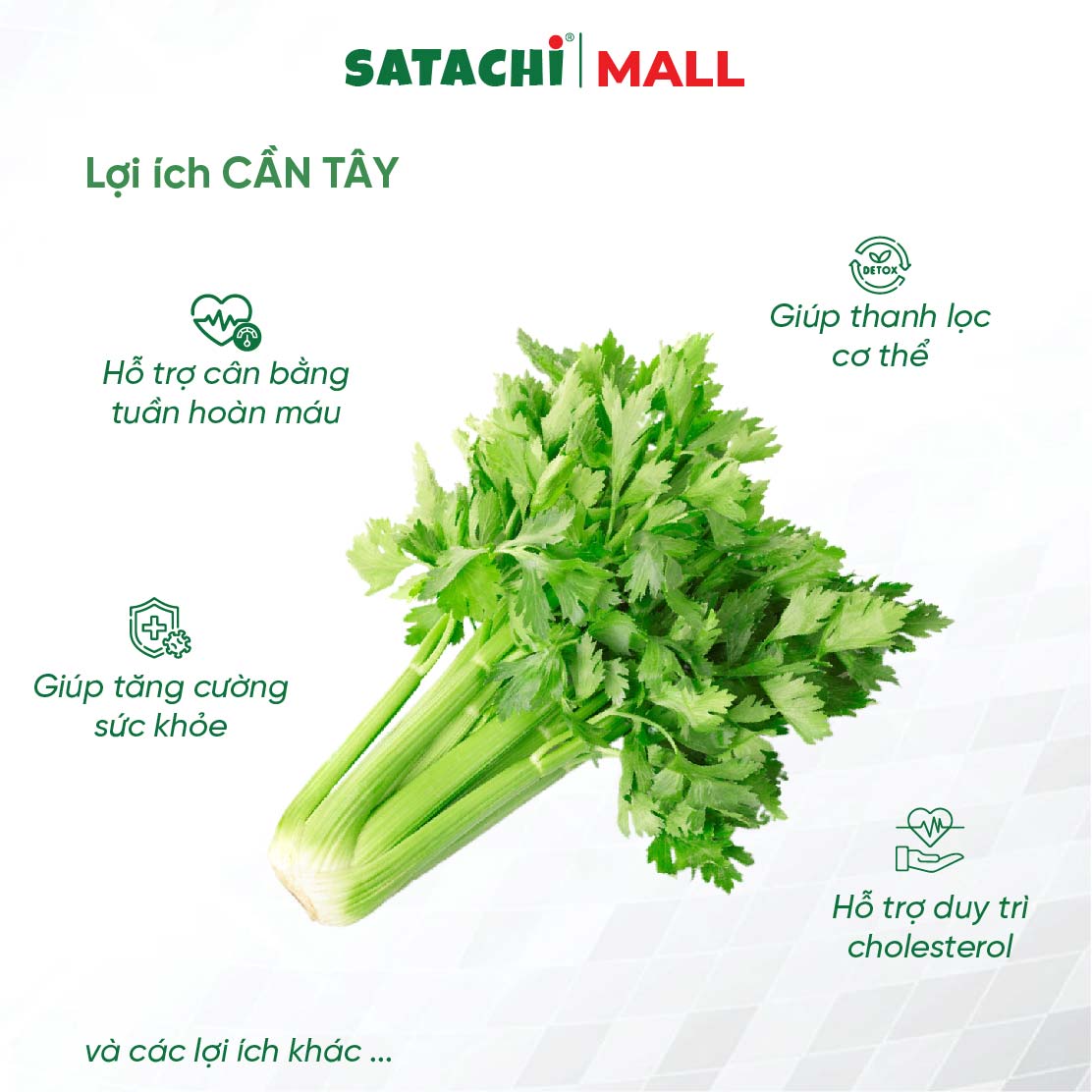 Viên Bột Cần Tây Nguyên Chất SATACHI – 100% Lá Cần Tây – Dạng Viên Tiện Lợi – Hộp 180 viên
