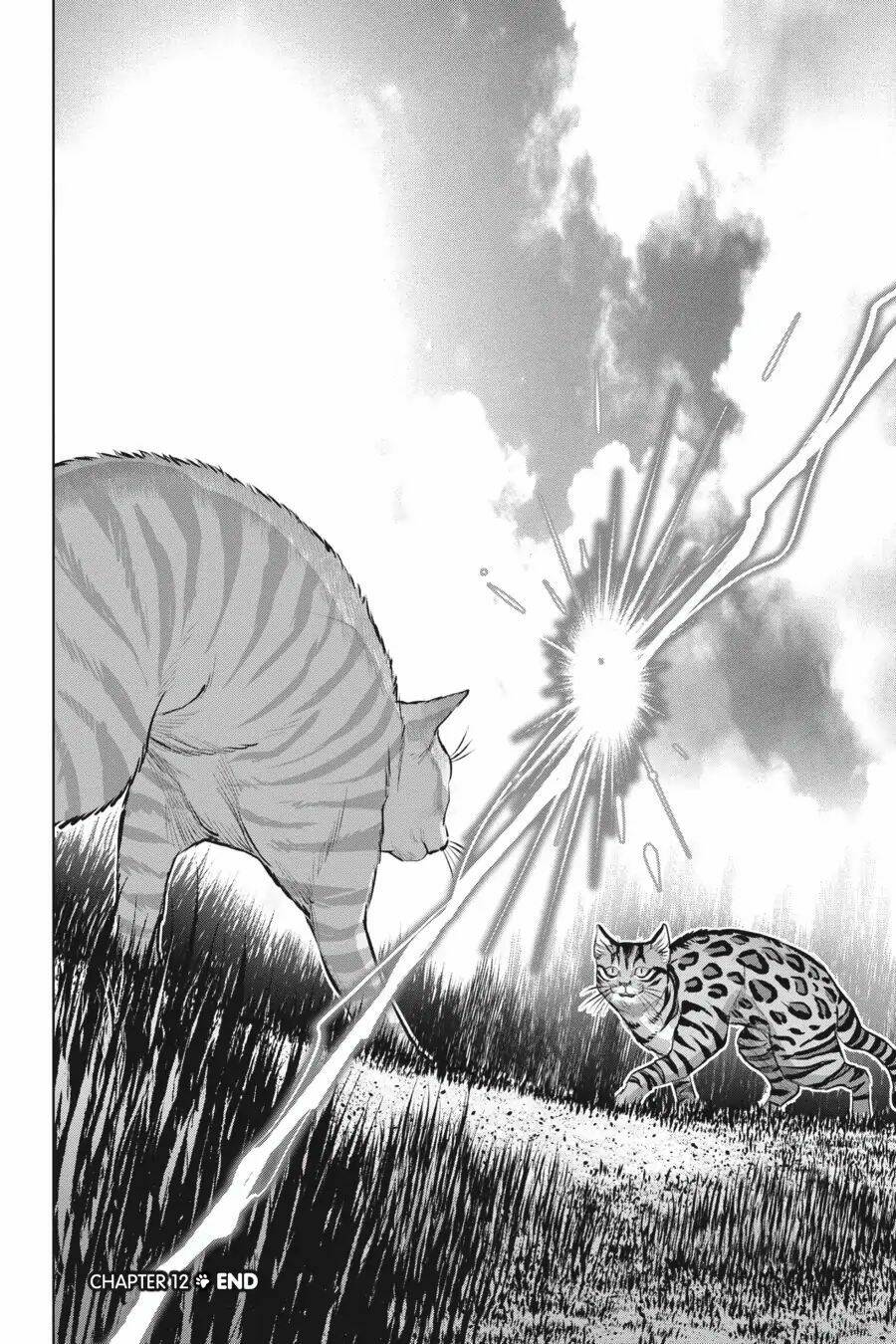 nyankees chapter 12 43