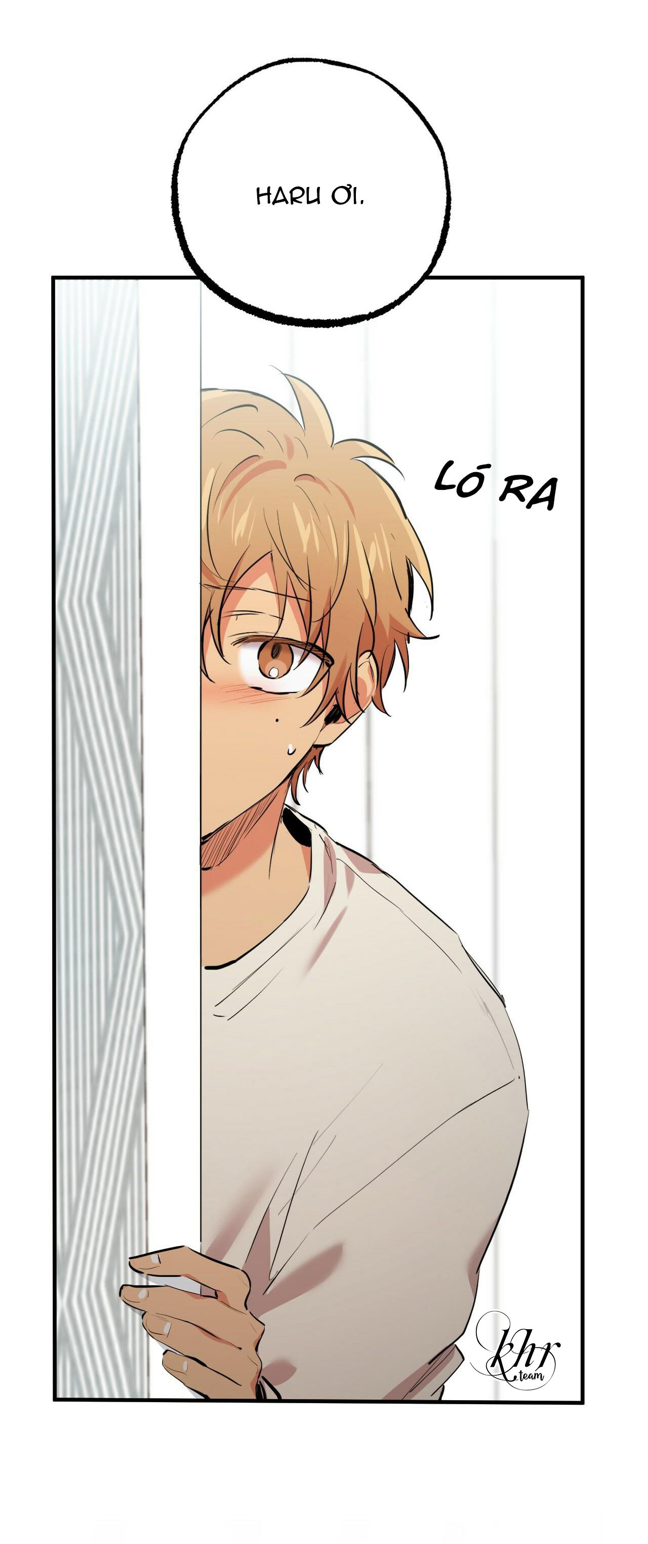 những chú thỏ của hapypy chapter 36 40