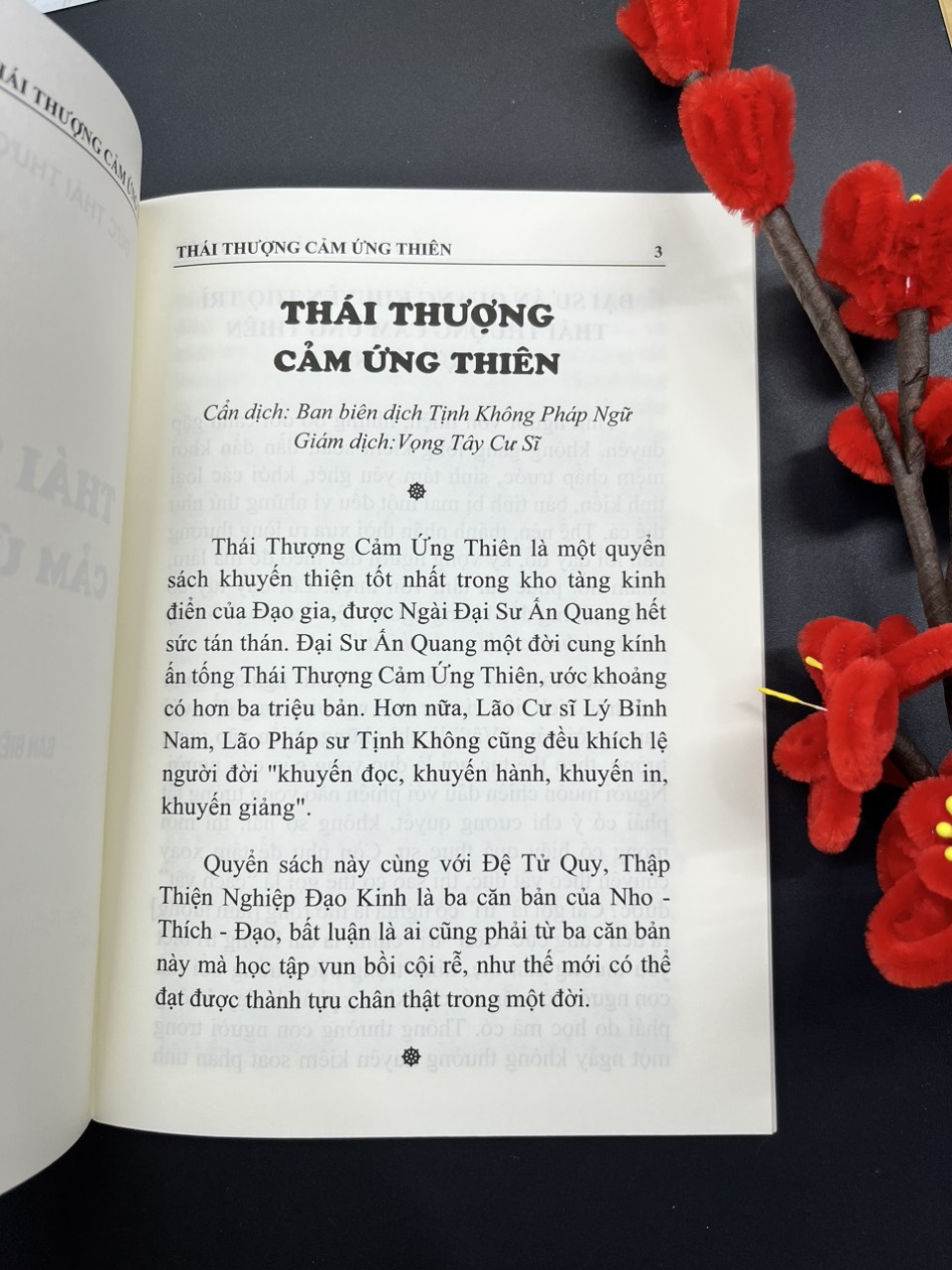 Thái Thượng Cảm Ứng Thiên