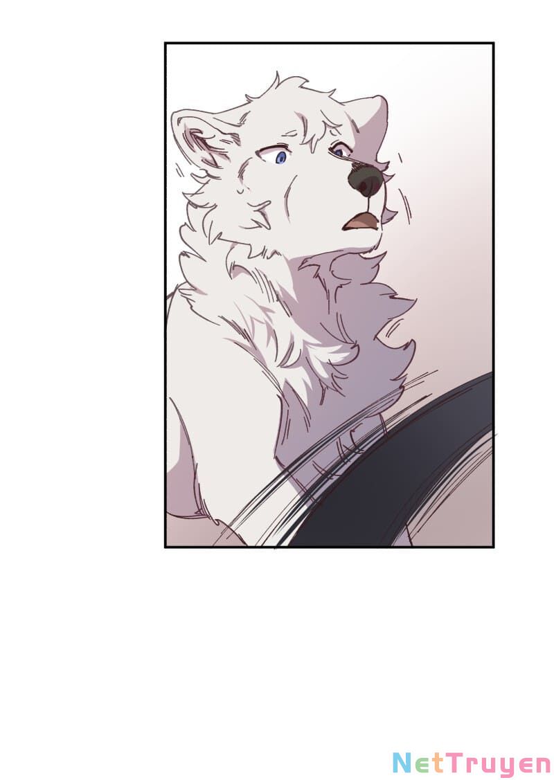 lumine - cội nguồn ánh sáng chapter 92 5