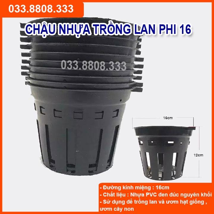10 Chậu Nhựa Đen Ttrồng Lan PHI16 thích hợp trồng nhiều loại lan