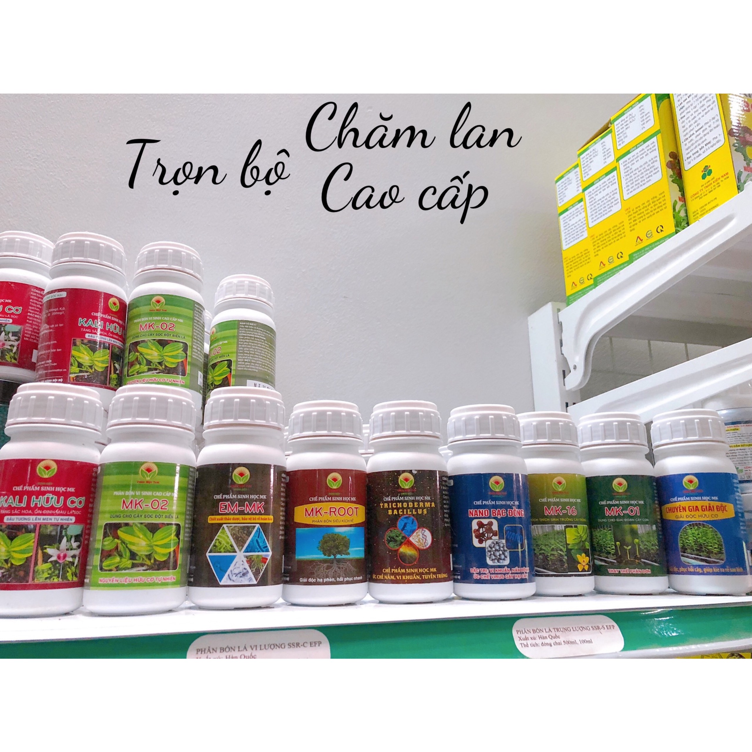CHẾ PHẨM SINH HỌC MK-01 GIAI ĐOẠN CÂY CON, CÂY LÁ SỌC, VAR