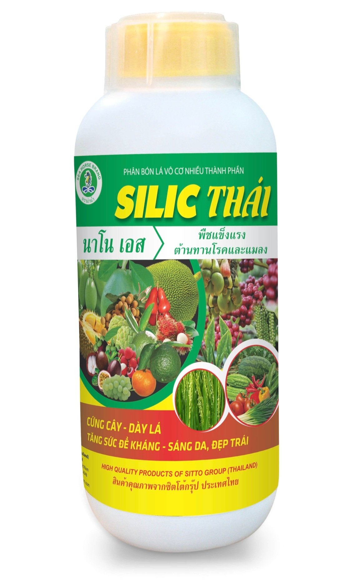 Cứng cây, dày lá, sáng da, đẹp trái