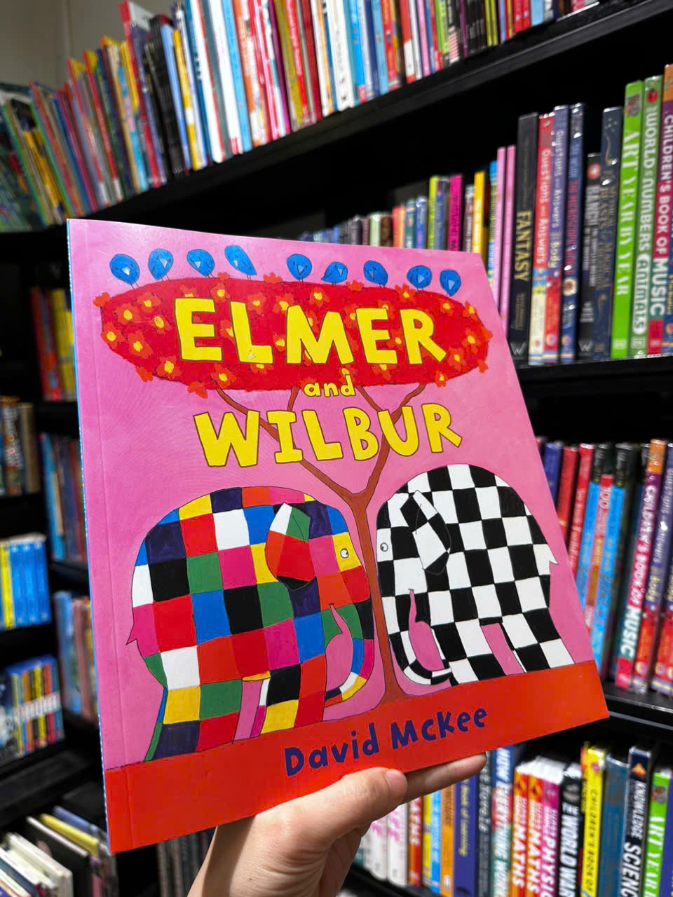 Sách - Elmer and Wilbur by David McKee - Sách ngoại văn, sách thiếu nhi tiếng Anh, bìa mềm, nhập khẩu UK