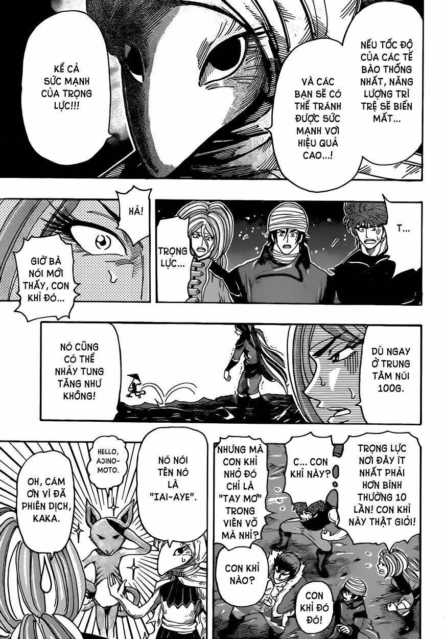 thợ săn ẩm thực chapter 305 6