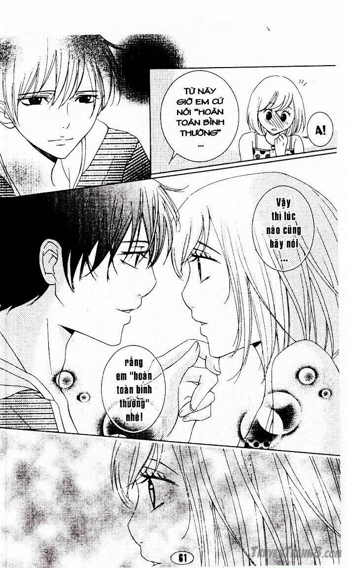 hôn cánh hoa yêu chapter 9 5