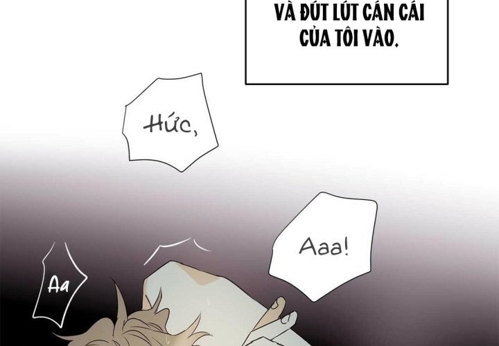 guide cấp b chapter 36 18