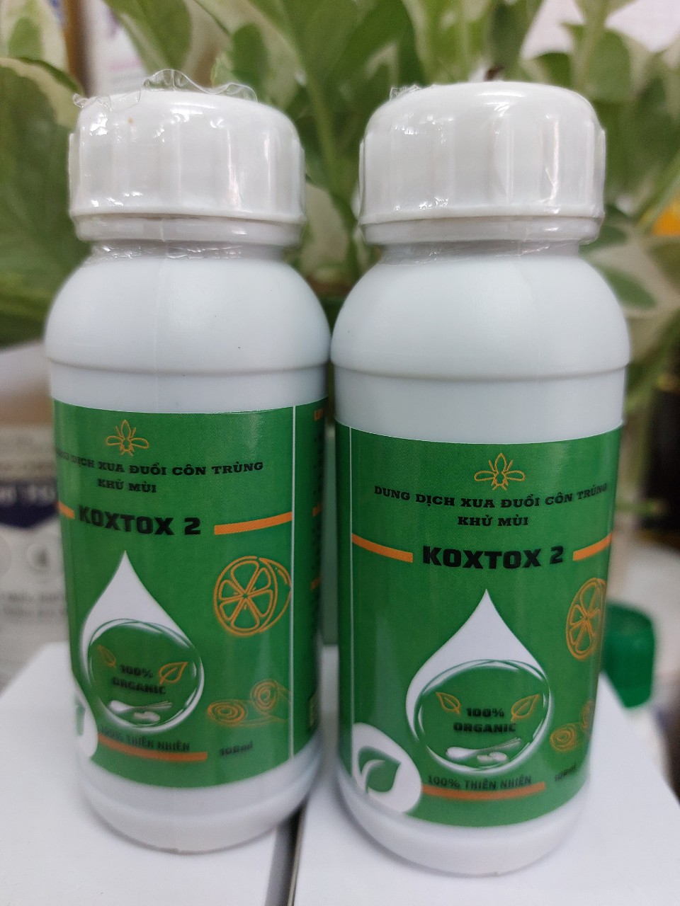 Chế phẩm diệt sâu, rầy sinh học KOXTOX 2- chai 100ml