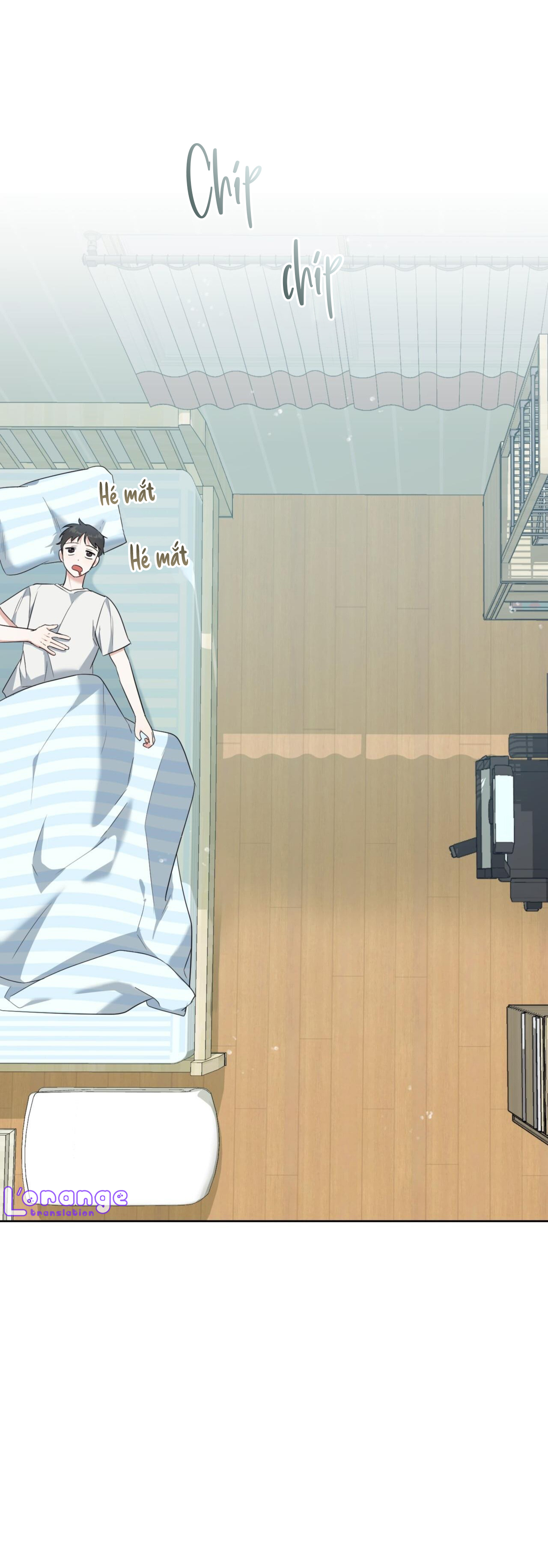 cánh rừng bình lặng chapter 2 42