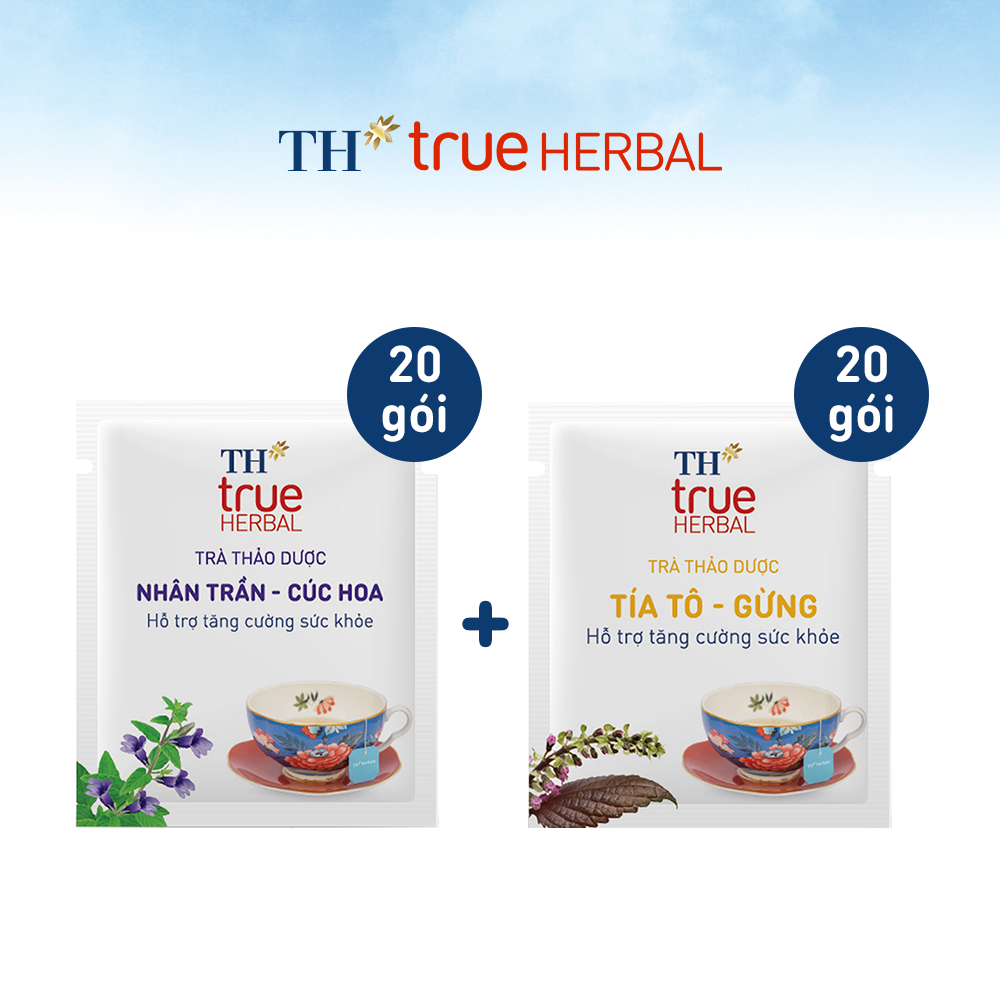 Bộ 2 hộp Trà Nhân trần – Cúc hoa &amp; Trà Tía tô – Gừng TH True Herbal (40 gói)