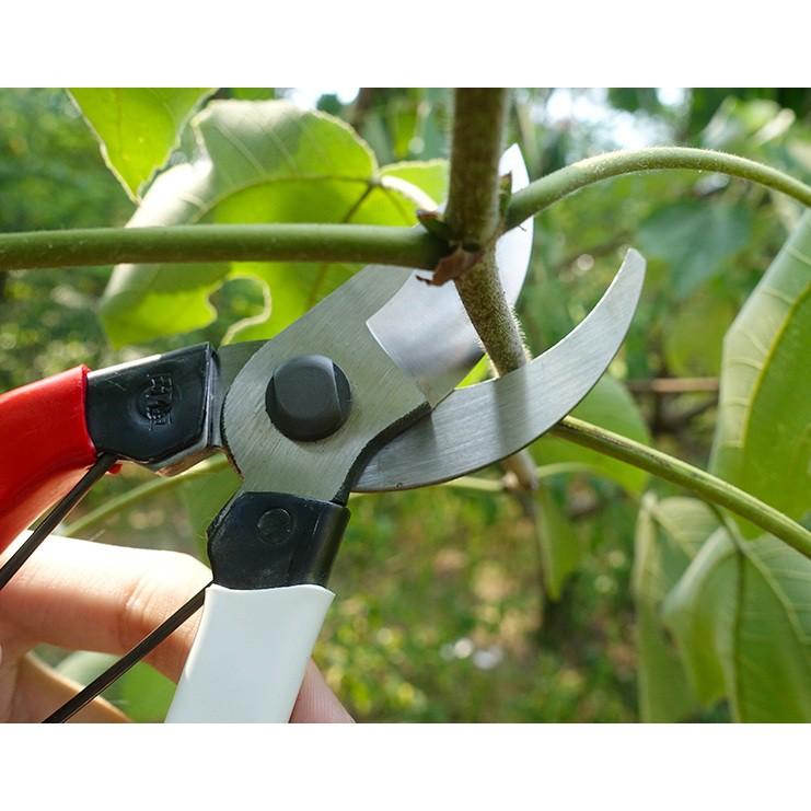 Kéo cắt cành mỏ cong V7 Đài Loan LV227