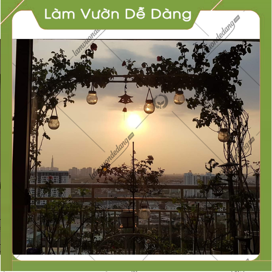 CỔNG VÒM HOA HỒNG LEO cao 2M85 - Dùng làm khung cổng vòm hoa, giàn leo, giá đỡ cho cây hoa hồng leo, cây hoa leo - Giúp cây không bị đổ ngã - Tạo không gian đẹp cho khu vườn